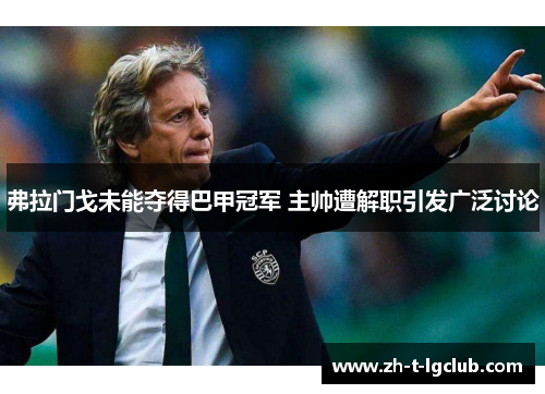 弗拉门戈未能夺得巴甲冠军 主帅遭解职引发广泛讨论 弗拉门戈未能夺得巴甲冠军 主帅遭解职引发广泛讨论