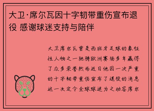 大卫·席尔瓦因十字韧带重伤宣布退役 感谢球迷支持与陪伴